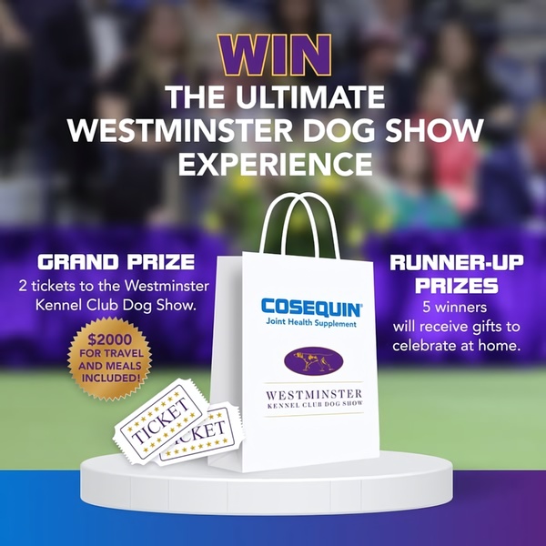A clean, high-contrast promotional graphic featuring a sweepstakes prize package including tickets and travel funds for a pet-themed event.